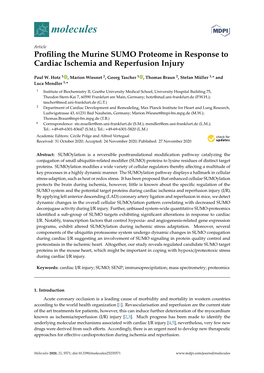 Profiling the Murine SUMO Proteome in Response to Cardiac Ischemia