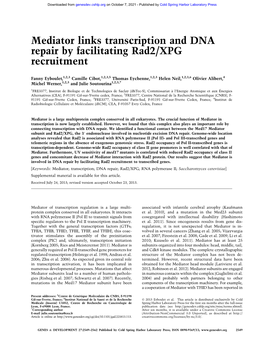 Mediator Links Transcription and DNA Repair by Facilitating Rad2/XPG Recruitment