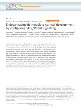 Endocannabinoids Modulate Cortical Development by Configuring Slit2/Robo1 Signalling