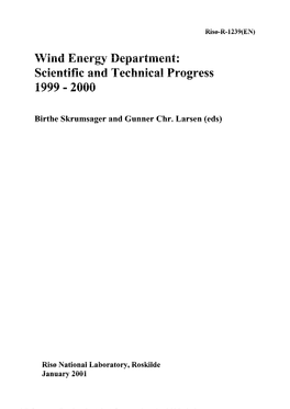 Wind Energy Department: Scientific and Technical Progress 1999-2000