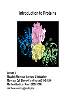 Introduction to Proteins