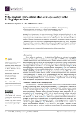 Mitochondrial Homeostasis Mediates Lipotoxicity in the Failing Myocardium