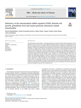 Deficiency of the Mitochondrial Sulfide Regulator ETHE1 Disturbs Cell