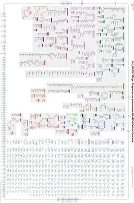 Generated by SRI International Pathway Tools Version 25.0, Authors S