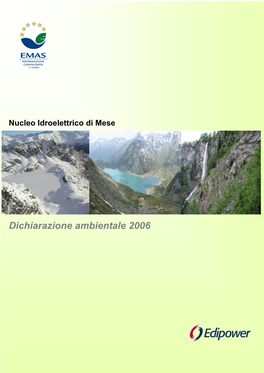 Dichiarazione Ambientale 2006