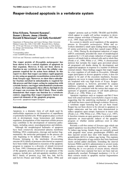 Reaper-Induced Apoptosis in a Vertebrate System