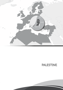 Palestine Presentation