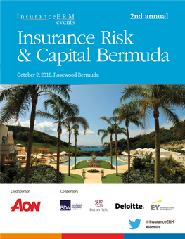 Insurance Risk & Capital Bermuda