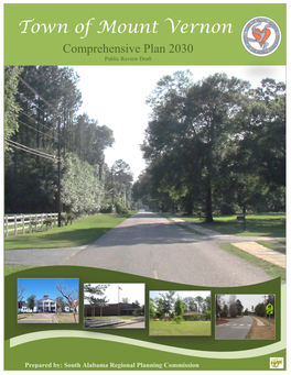 Comprehensive Plan 2030 Public Review Draft