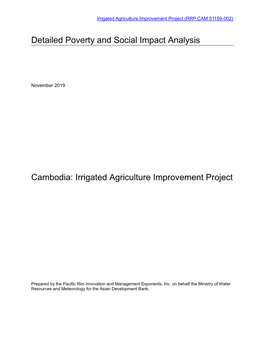 Detailed Poverty and Social Impact Analysis