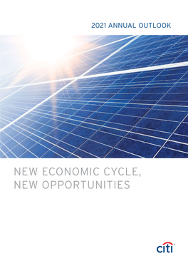 NEW ECONOMIC CYCLE, NEW OPPORTUNITIES Citi Priority 2021 ANNUAL OUTLOOK CONTENTS