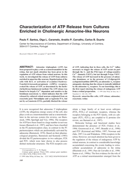 Characterization of ATP Release from Cultures Enriched in Cholinergic Amacrine-Like Neurons