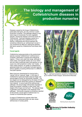 The Biology and Management of Colletotrichum Diseases in Production Nurseries