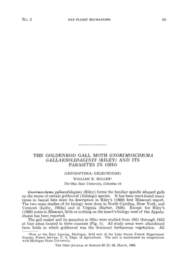 The Goldenrod Gall Moth Gnorimoschema Gallaesolidaginis (Riley) and Its Parasites in Ohio