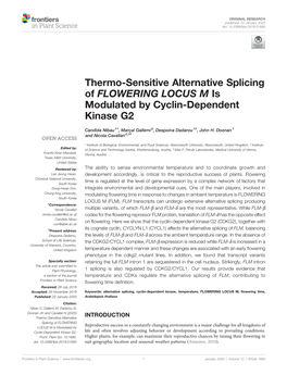Thermo-Sensitive Alternative Splicing of FLOWERING LOCUS M Is Modulated by Cyclin-Dependent Kinase G2