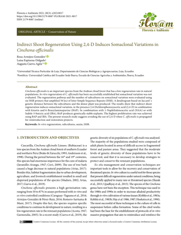 Indirect Shoot Regeneration Using 2,4-D Induces Somaclonal Variations in Cinchona Officinalis Rosa Armijos-González1 Luisa Espinosa-Delgado1 Augusta Cueva-Agila1,2