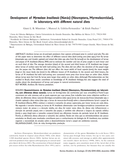 Development of Elopment of Myrmeleon Brasiliensis Asiliensis