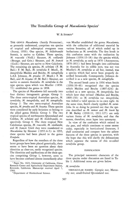 The Ternifolia Group of Macadamia Species'