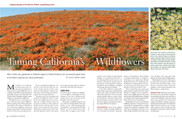 Taming California's Wildflowers