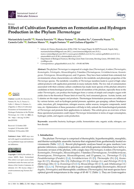 Effect of Cultivation Parameters on Fermentation and Hydrogen Production in the Phylum Thermotogae
