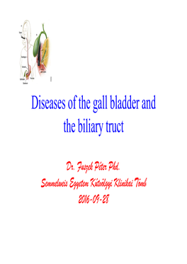 Diseases of the Gall Bladder and the Biliary Truct