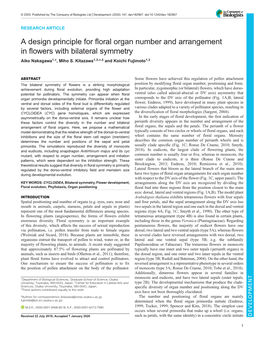 A Design Principle for Floral Organ Number and Arrangement in Flowers with Bilateral Symmetry Aiko Nakagawa1,*, Miho S