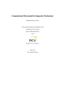 Computational Micromodel for Epigenetic Mechanisms