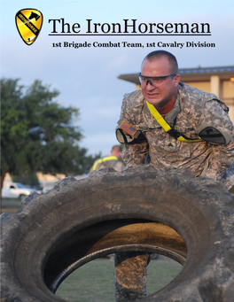 1St Brigade Combat Team 1St Cavalry Division BDE