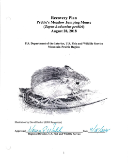 Us Fish and Wildlife Service's Mission in Recovery Planning