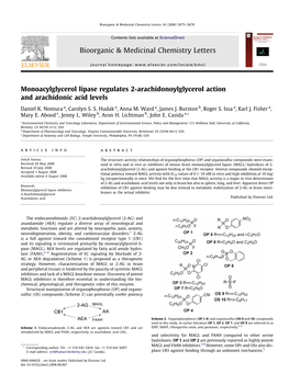 Monoacylglycerol Lipase Regulates 2-Arachidonoylglycerol Action and Arachidonic Acid Levels