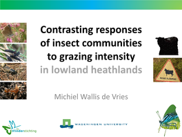 Contrasting Responses of Insect Communities to Grazing Intensity in Lowland Heathlands