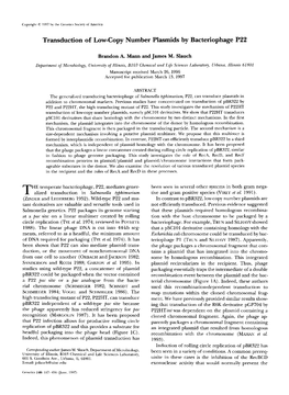 Transduction of Low-Copy Number Plasmids by Bacteriophage P22