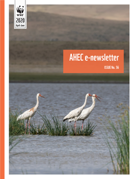 AHEC E-Newsletter ISSUE No