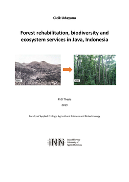 Forest Rehabilitation, Biodiversity and Ecosystem Services in Java, Indonesia