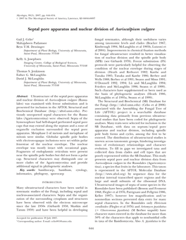 Septal Pore Apparatus and Nuclear Division of Auriscalpium Vulgare