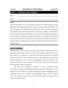 Lab 3: Porifera and Cnidaria