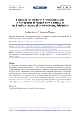 Searching for Shelter in a Ferruginous Cave? a New Species of Pasipha from a Plateau in the Brazilian Savanna (Platyhelminthes, Tricladida)