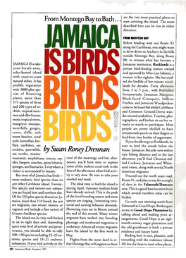 Jamaica Is Birds Birds Birds!