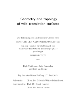 Geometry and Topology of Wild Translation Surfaces