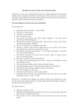 The Difference Between the Male and Female Pelvis