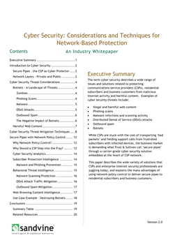 Cyber Security Considerations and Techniques