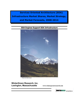 SOA) Infrastructure Market Shares, Market Strategy, and Market Forecasts, 2008-2014