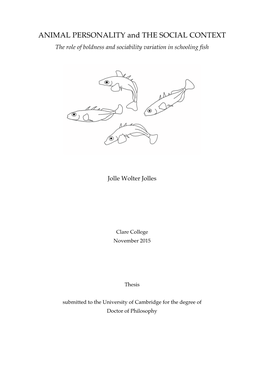 ANIMAL PERSONALITY and the SOCIAL CONTEXT the Role of Boldness and Sociability Variation in Schooling Fish