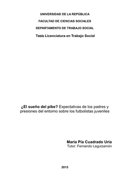 ¿El Sueño Del Pibe? Expectativas De Los Padres Y Presiones Del Entorno Sobre Los Futbolistas Juveniles