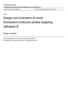 Design and Evaluation of Novel Fluorescent Molecular Probes Targeting Cathepsin B