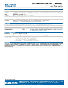 Mouse Aminoacylase/ACY1 Antibody