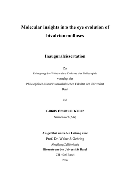 Isolation of Eye Selector Genes in Two Bivalvian Molluscs, Arca Noae and Pecten Maximus