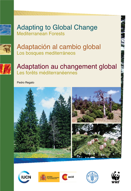 Current and Forecasted Climate Change Impacts in Mediterranean Forests