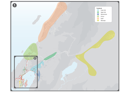 Tendered Lower Hutt Upper Hutt Wainuiomata Porirua Kapiti