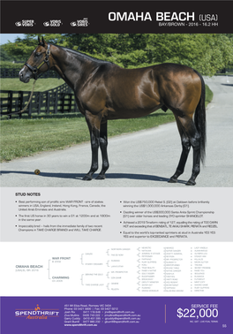 Stallion Brochure